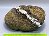A weathered brown, green, and black, coarsely crystalline rock with a white natrolite vein cutting through it.
